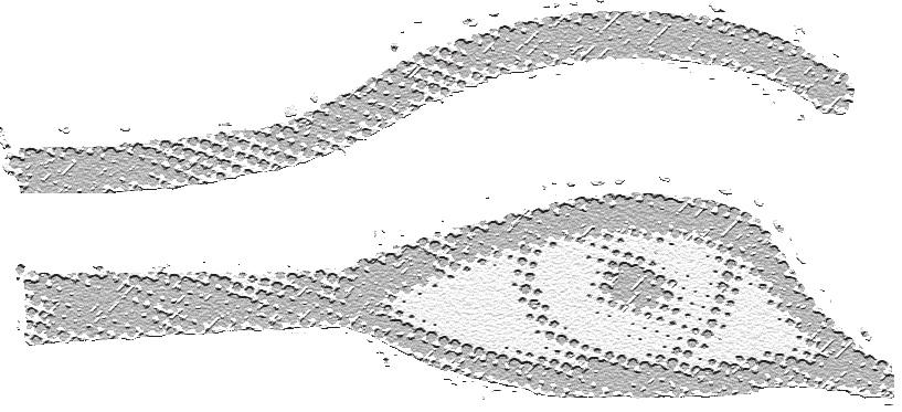 2015/4 Abstracts... 439 Tartalom TANULMÁNYOK KISZL Péter: Tudományos örökség és gyorsuló fejlődés könyvtárosképzés az Eötvös Loránd Tudományegyetemen... 443 HORVÁTH Zoltánné: A hálózat vonzásában.