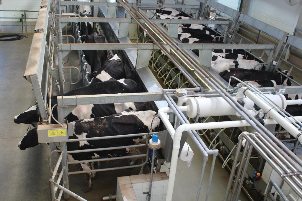 Milyen beruházások történtek az utóbbi években? ÁRPÁD-AGRÁR ZRT. 2011-ben készült el a 2900 m 2 -es almostrágya, és a 8000 m 3 -es hígtrágya tároló.
