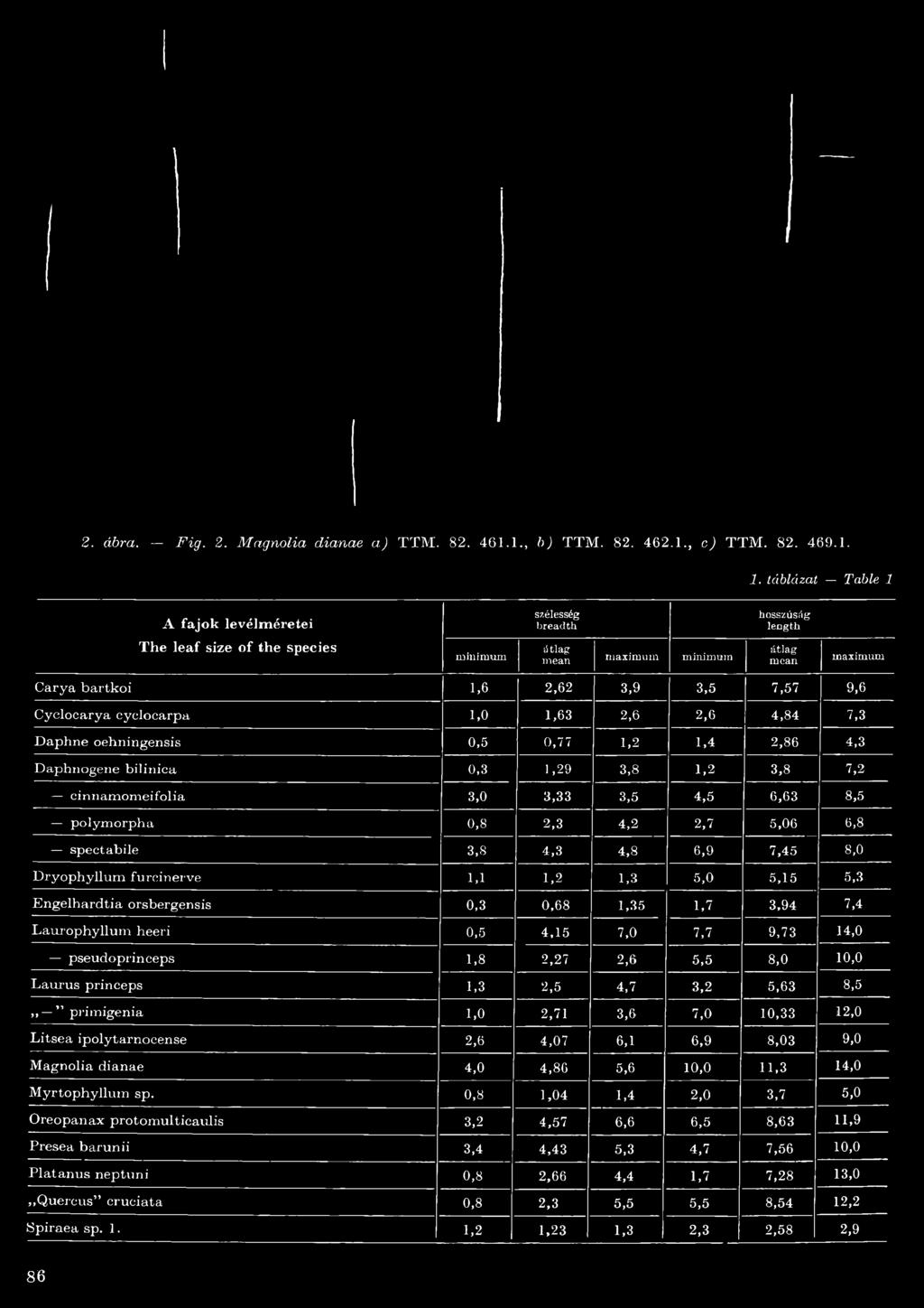 cinnamomeifolia 3,0 3,33 3,5 4,5 6,63 8,5 polymorpha 0,8 2,3 4,2 2,7 5,06 6,8 spectabile 3,8 4,3 4,8 6,9 7,45 8,0 Dryophyllum fu rein er ve,,2,3 5,0 5,5 5,3 Engelhard ti a orsbergensis 0,3 0,68,35,7