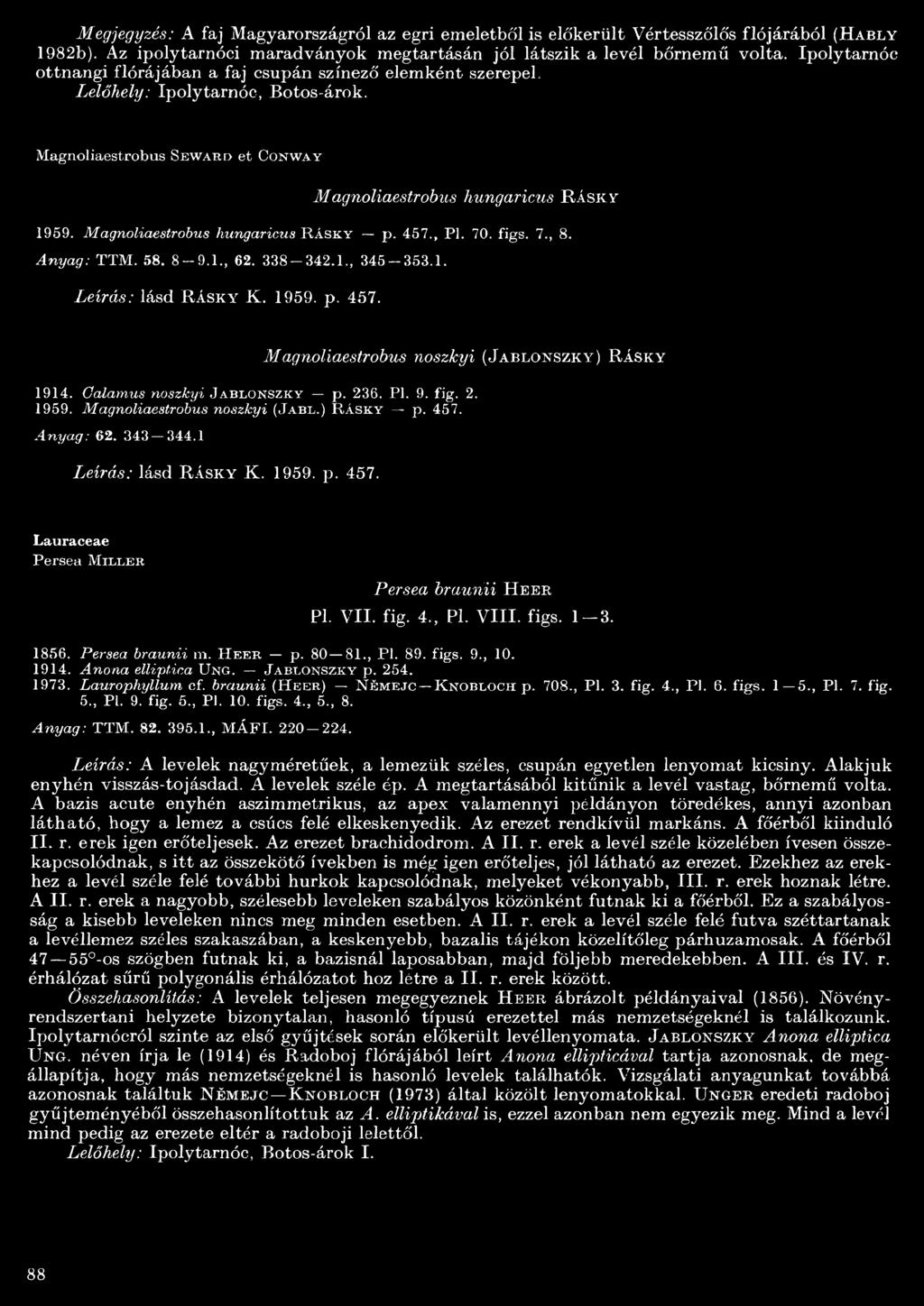 Magnoliaestrobus hungaricus R á s k y p. 457., Pl. 70. figs. 7., 8. A n yag: TTM. 58. 8-9.., 62. 338-342.., 345-353.. Leírás: lásd RÁSK\r K. 959. p. 457. Magnoliaestrobus noszkyi (Jablonszky) R ásky 94.