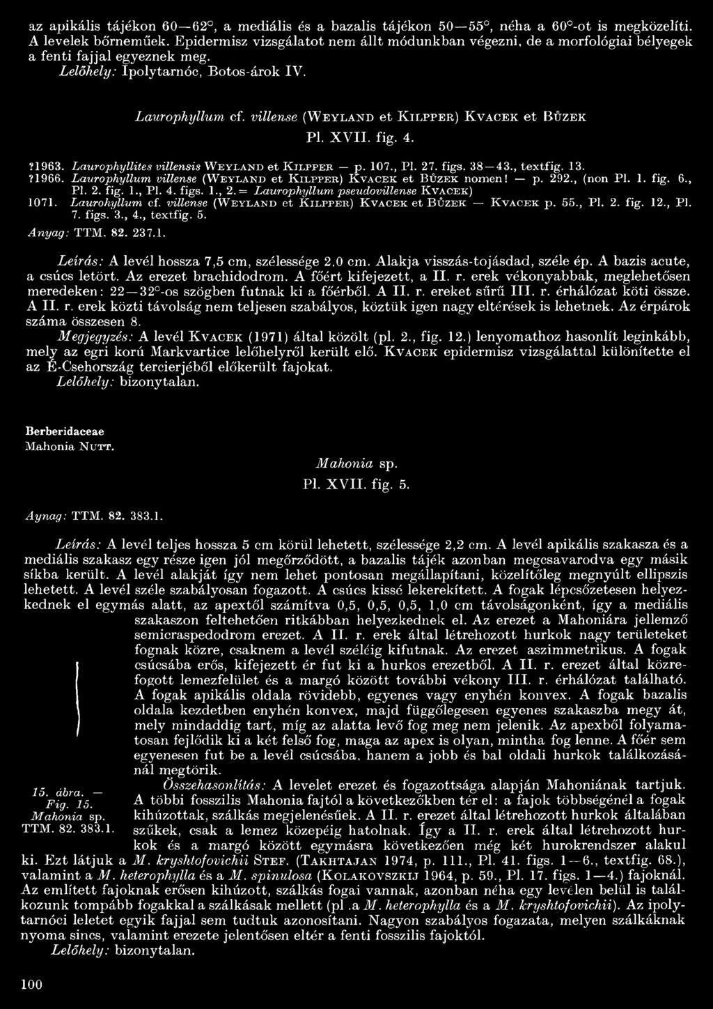 villense (Weyland et K ilpper) K vacek et Bűzek Pl. X V II. fig. 4.?963. Lauropliyllites villensis W e y i a n d et K i l p p e r p. 07., Pl. 27. figs. 38 43., textfig. 3. Î966.