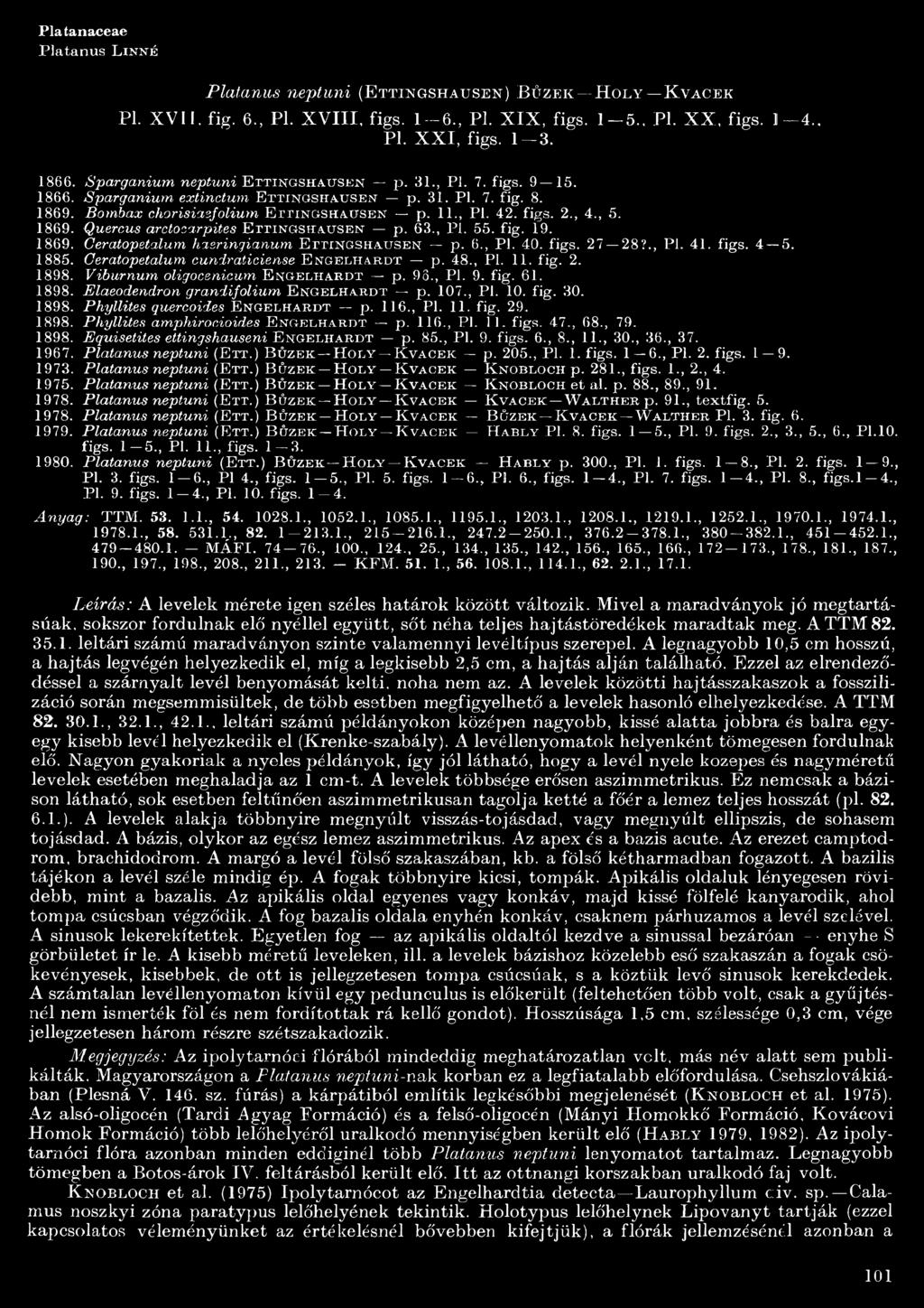 ., PI. 4 2. fig s. 2., 4., 5. 869. Quercus arctosarpites E t t in g s h a u s e n p. 63., Pi. 55. fig. 9. 869. Geratopetalum hasringianum E t t in g s h a u s e n p. 6., PI. 40. figs. 27 28?., PI. 4. figs. 4 5.