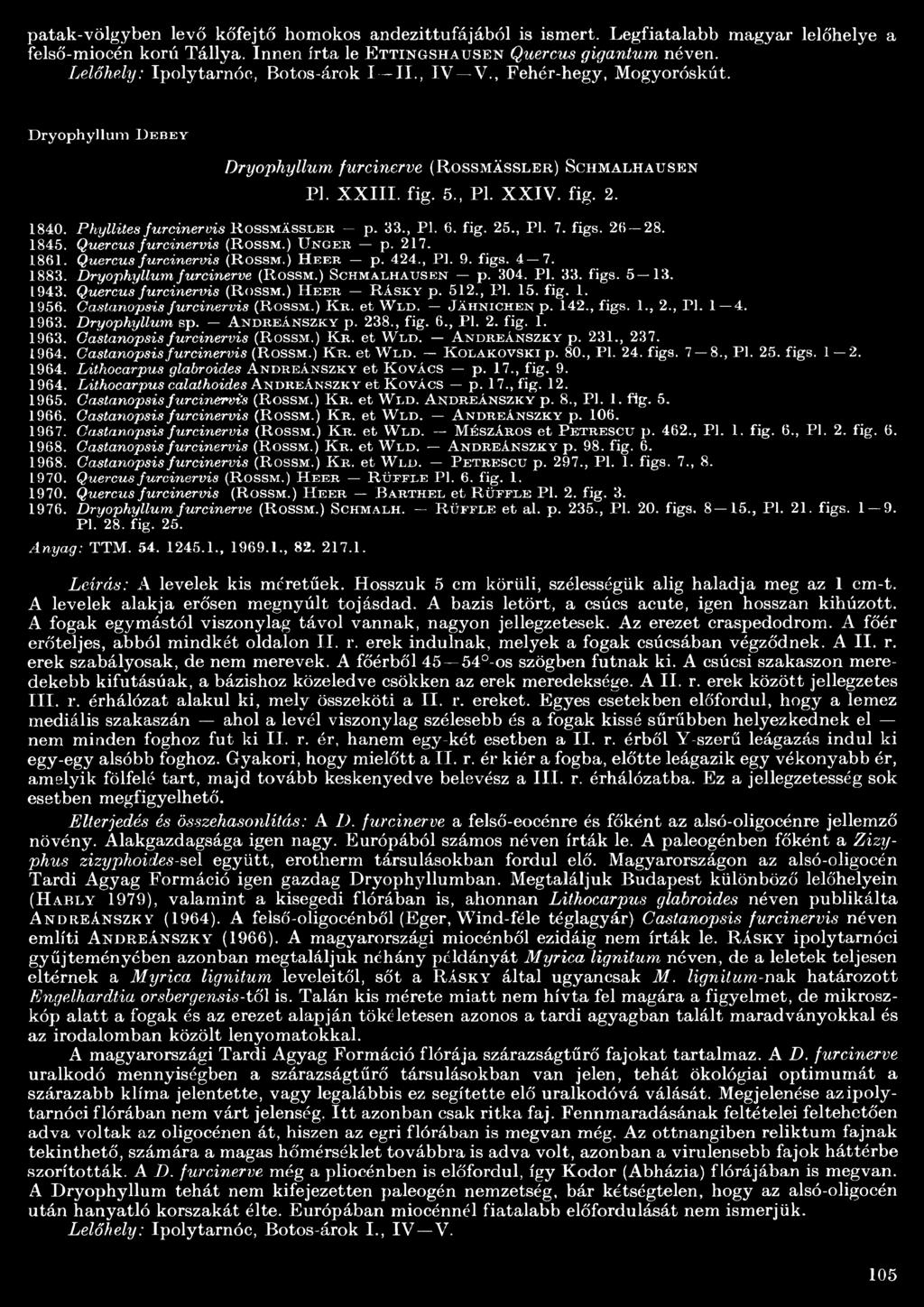 Phyllites furcinervis R o s s m ä s s l e r p. 33., PI. 6. fig. 25., PI. 7. figs. 26 28. 8 4 5. Quercus furcinervis ( R o s s m.) U n g e e p. 2 7. 86. Quercus furcinervis ( R o s s m.) H e e r p.