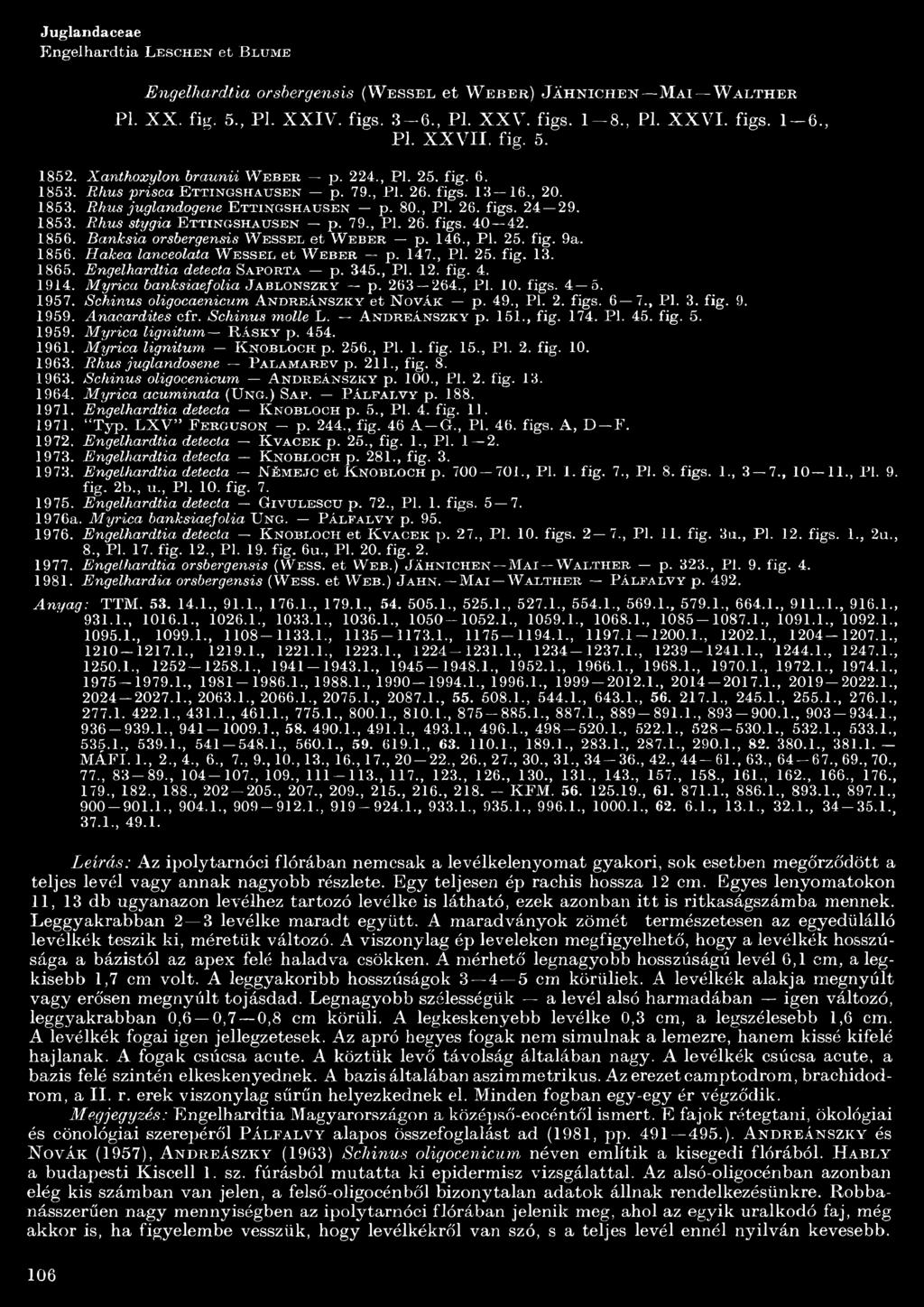 80., PL 26. figs. 24 29. 853. Rhus stygia E t t i n g s h a u s e n p. 79., PL 26. figs. 40 42. 856. Banksia orsbergensis W e s s e l et W e b e r p. 46., PL 25. fig. 9a. 856. Hakea lanceolata W e s s e l et W e b e r p.