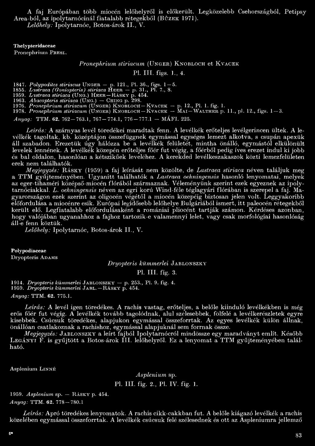 Lastraea ( Goniopteris ) stiriaca H e e r p. 3., P l. 7., 8. 959. Lastraea stiriaca (U n o -.) H e e r R á s k y p. 4 5 4. 963. Abacopteris stiriaca (U n g.) C h in g p. 298. 9 76.