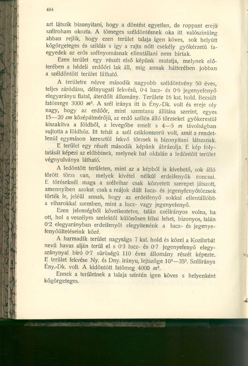 azt látszik bizonyítani, hogy a döntést egyetlen, de roppant erejű szélroham okozta.