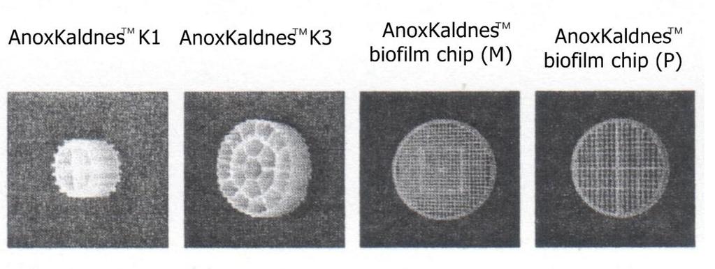 A múlt század 80-as éveinek végén kialakított Kaldnes töltet eredményessége azután hamarosan a mozgóágyas biofilmes technológia szabadalmaztatását, majd sikeres gyakorlati megvalósítását is