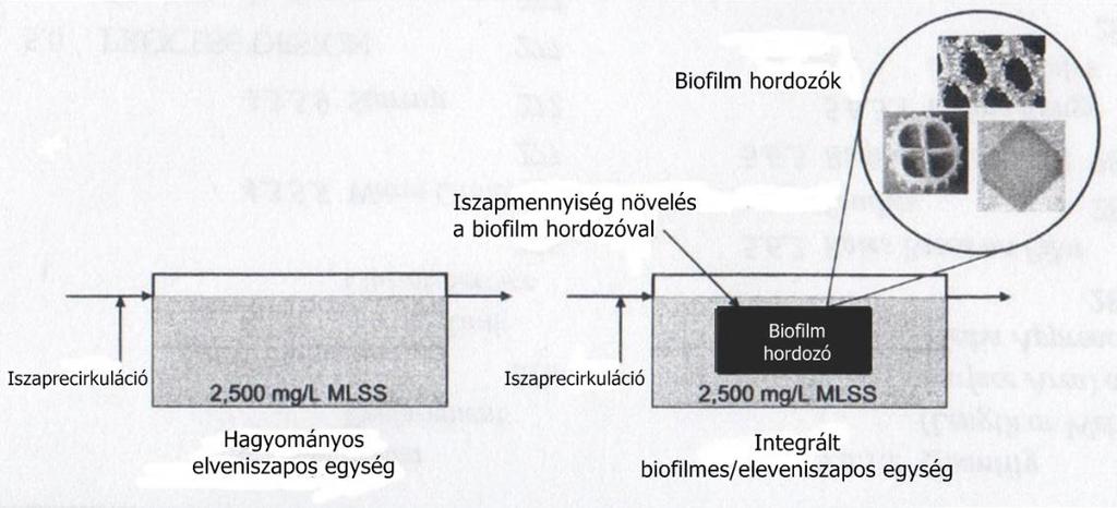időszakban már a rögzítő, vagy hordozó anyagba történő mesterséges baktérium immobilizálás is sikeresnek bizonyult (Emori et al., 1994; Tanaka et al., 1991).
