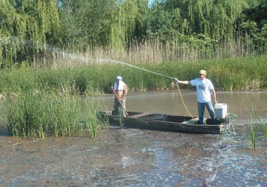 fakadnak. A légi-kémiai védekezéseknél bevált szúnyoggyérítési gyakorlat átültetése a biológiai készítmények alkalmazására tévútnak bizonyult.