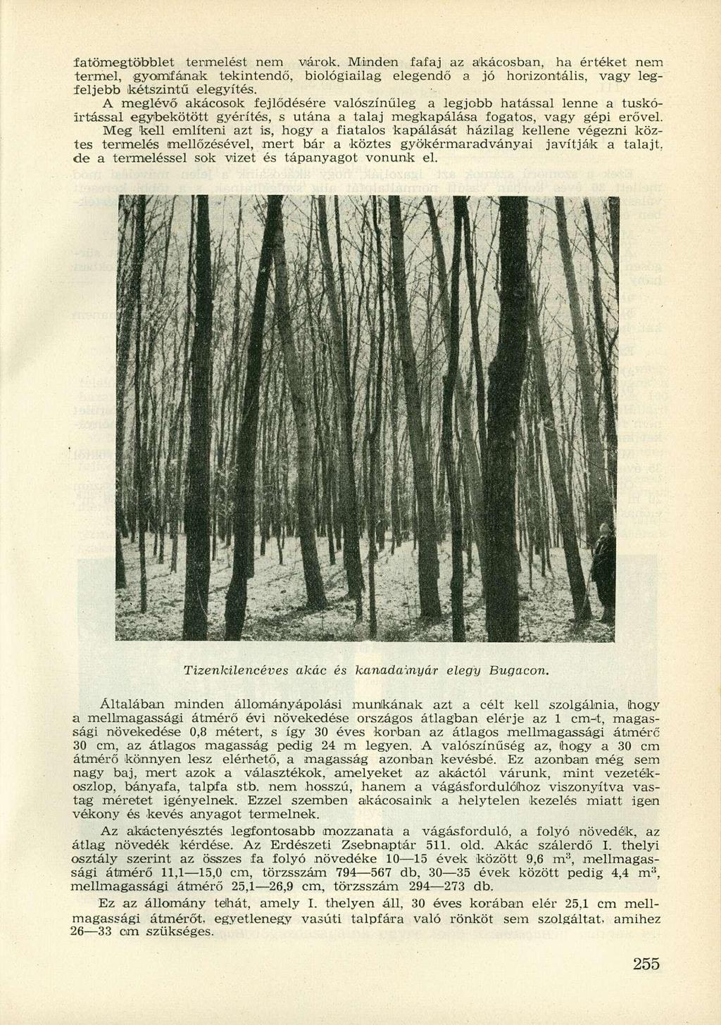 fatömegtöbblet terimelést nem viárok. Minden fafaj az akácosban, ha értéket nem termel, gyomfának tekintendő, biológiailag elegendő a jó horizontális, vagy legfeljebb kétszintű elegyítés.