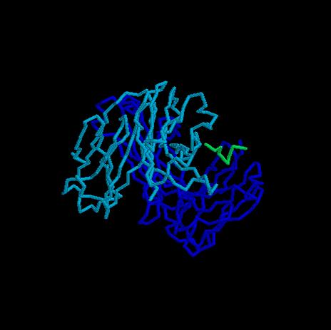 Az ellenanyagok szerkezete Churchill ME, Stura EA, Pinilla C, Appel JR, Houghten RA, Kono DH, Balderas RS, Fieser GG, Schulze- Gahmen U, Wilson IACrystal structure