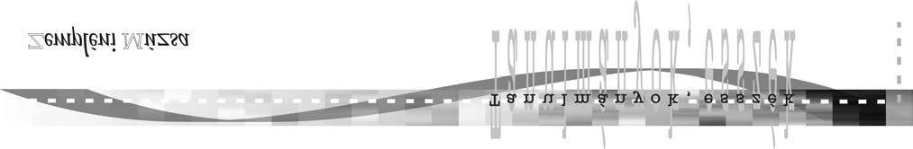 új átkelőről pontos képet Jánosfy Imre 1837-es beszámolója alapján alkothatunk: a tölgyfából épített 5 öl széles és 80 öl hosszúságú híd öt művészileg szerkesztett bolthajtással bír, mindegyik 15 öl.
