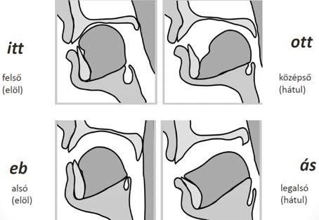 Illab. Lab. Illab. Palatális Lab. Illab. Időtartamuk szerint fonetikailag: 1. ultrarövid, 2.