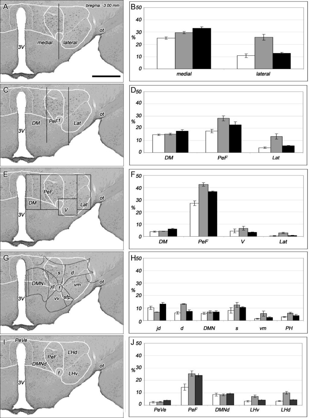 26. ábra. Fos/orexin kettős festett sejtek százalékos aránya a dorsolateralis hypothalamus (DLH) összes orexin-tartalmú sejtjéhez képest a három kísérleti modellben a DLH különböző felosztásai után.