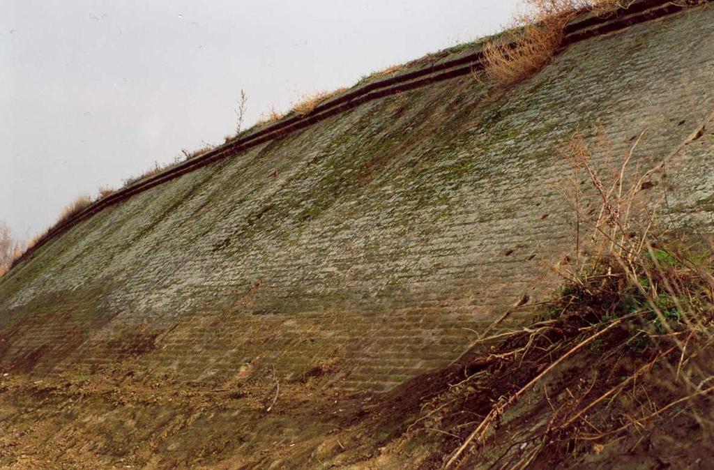 Sorszám: 21. A védendő objektum megnevezése: Holt-Tiszaparton téglával kirakott rakpart Vizsgálat ideje: 2002. augusztus hó Címe: Fegyvernek, külterület Helyrajzi száma: 010.