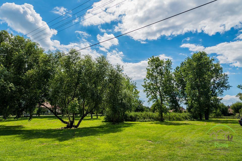 Dózsa