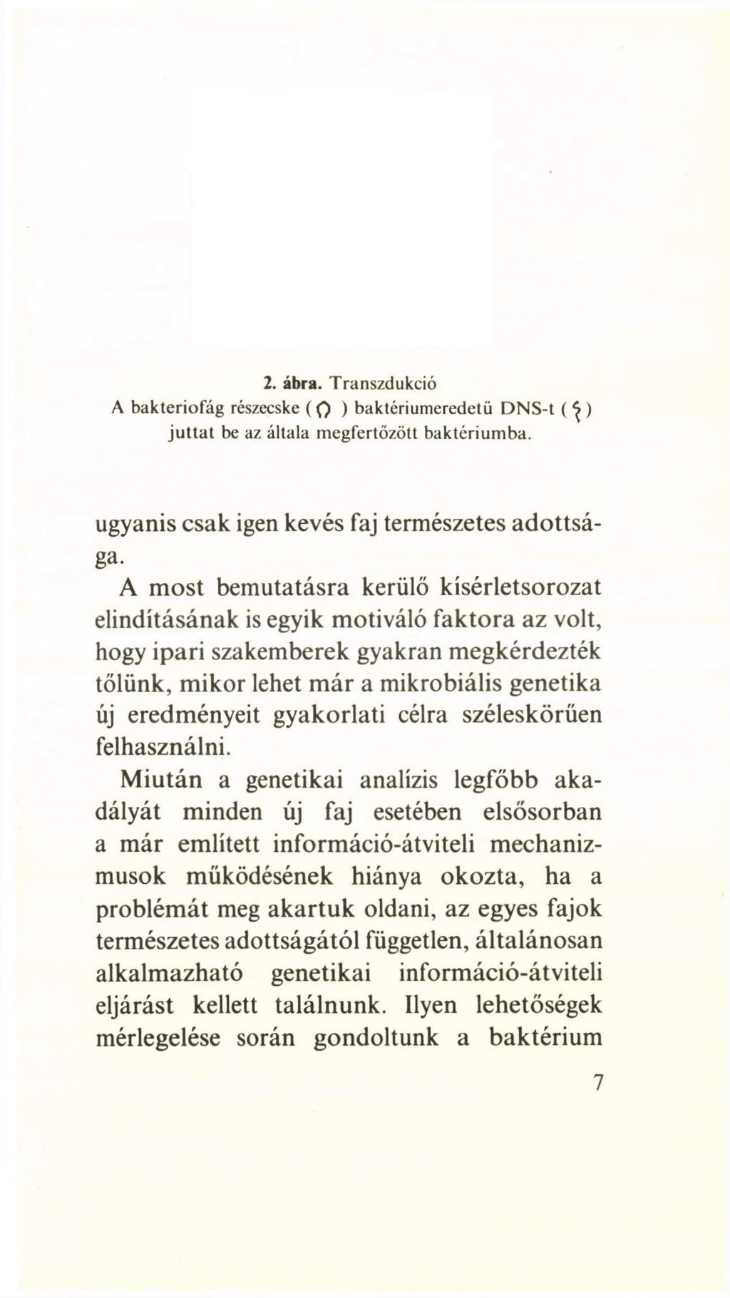 2. ábra. Transzdukció A bakteriofág részecske ( 0 ) baktériumeredetü DNS-t ( ^ ) juttat be az általa megfertőzött baktériumba. ugyanis csak igen kevés faj természetes adottsága.