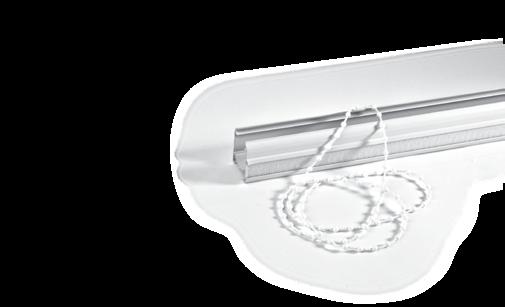 Zsinórsúly Cordweight