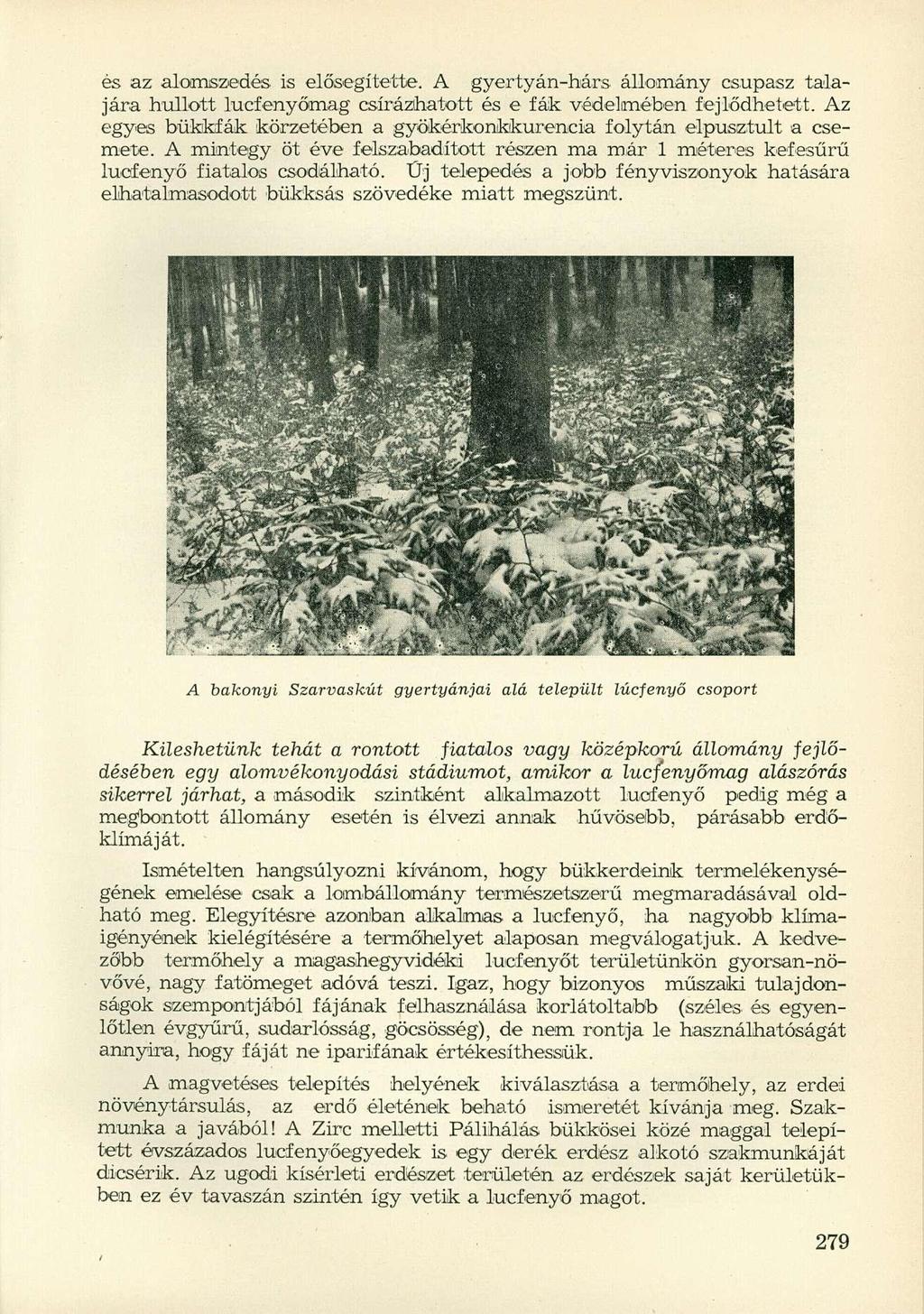 és az alamszedés is elősegítette. A gyertyán-hárs állomány csupasz talajára hullott lucfenyőmag csírázhatott és e fák védelmében fejlődhetett.