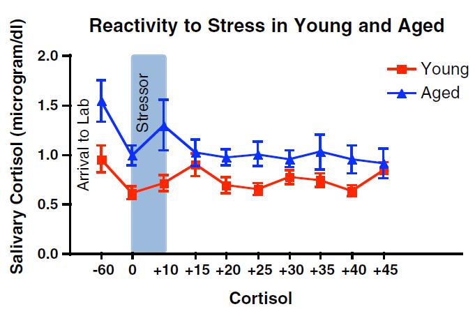 Lupien 1995 These results were never published due to this spurious result, and great care is now taken in our studies to acclimatize