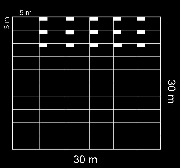 A kijelölt 30 30 m-es alapkvadrátok gyepszintjének vizsgálatnál 55 db 0,5 m 2 méretű (1 0,5m-es) rektanguláris mikrokvadrátot helyeztünk el szisztematikusan. Ennek kialakítását mutatja a következő 8.