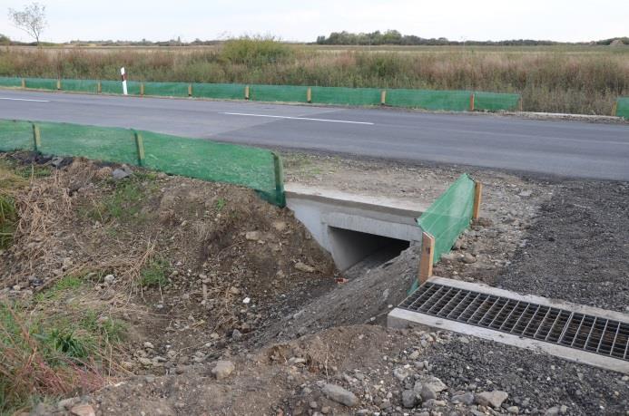 Amennyiben nincs békaalagút, vagy más biztonságos átkelőhely a terelőkerítések mentén vödrökbe kell gyűjteni az állatokat és biztonságosan átszállítani az út másik oldalára.