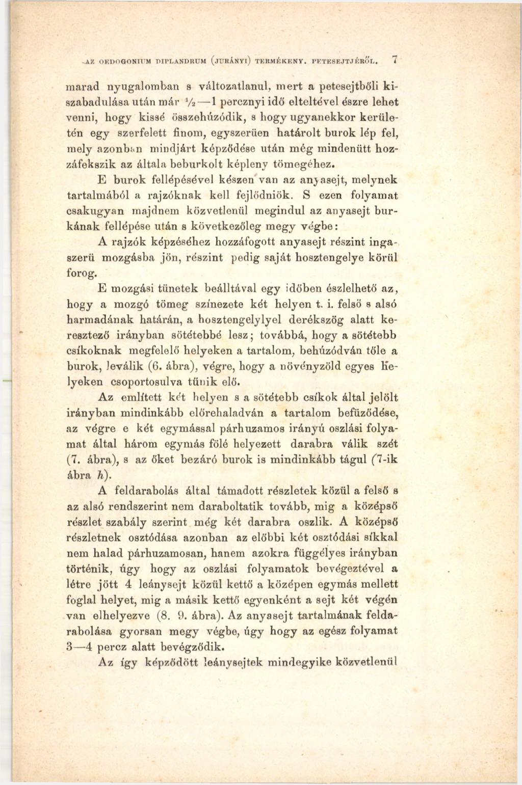 .AZ OEIK'GONIVM PIPI.ANDRCM ( j ITe AnYi ) TERM ÉKENY. PETESEJTJÉR O b.