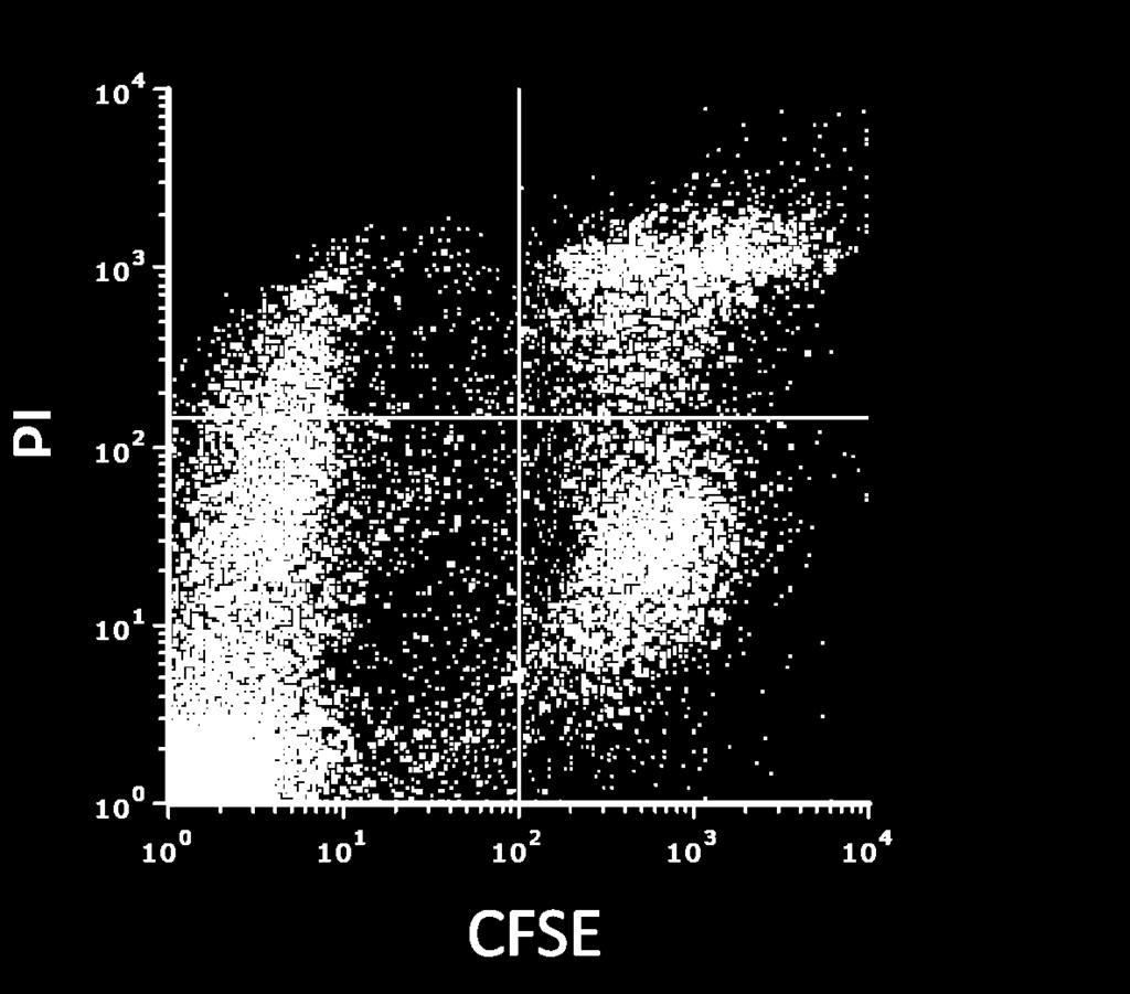 Adott időpillanatokban 100 µl mintát vettünk minden lyukból a felülúszó óvatos, de alapos szuszpendálása után, és a mintát 96-lyukú plate-be helyeztük későbbi fluoreszcens méréshez.