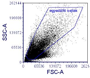 a, b, c, d, 11. ábra. A PanToxiLux ADCC teszt áramlási citometriás mérése. a, Az FSC-SSC dotploton a célsejtekre figyelve az egyedüli sejtek populációját határozzuk meg.