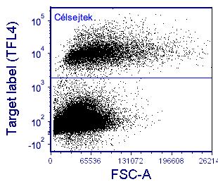 c, A tisztán célsejteket tartalmazó populációból a TFL4-NFL1 dotploton az NFL1- negatív sejtekre szűkítettük a kaput.