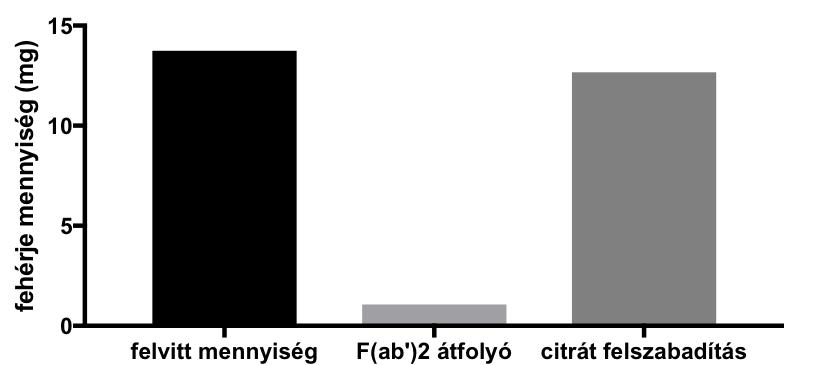 19. ábra. A trastuzumab IgG és F(ab ) 2 szeparálása protein A oszlopon Az 18.