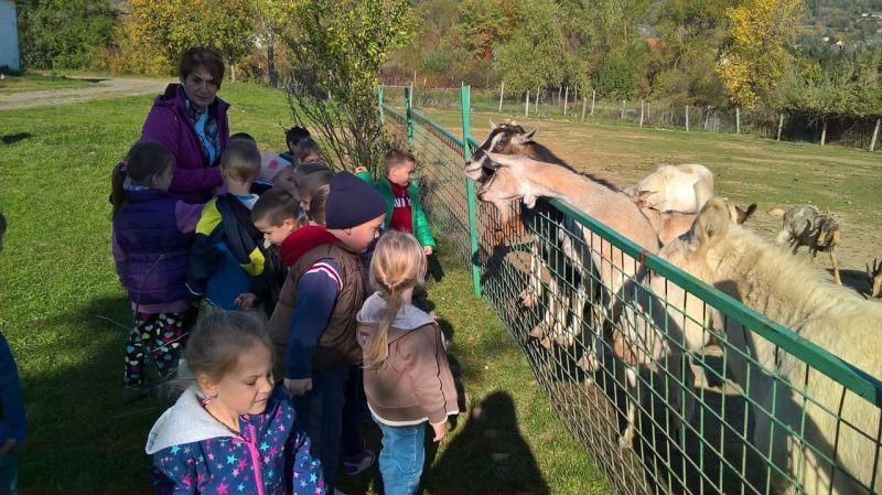 nap- Tettye Oktatási Központ: Tavaszi ébredés a Mecsekben! o 3.