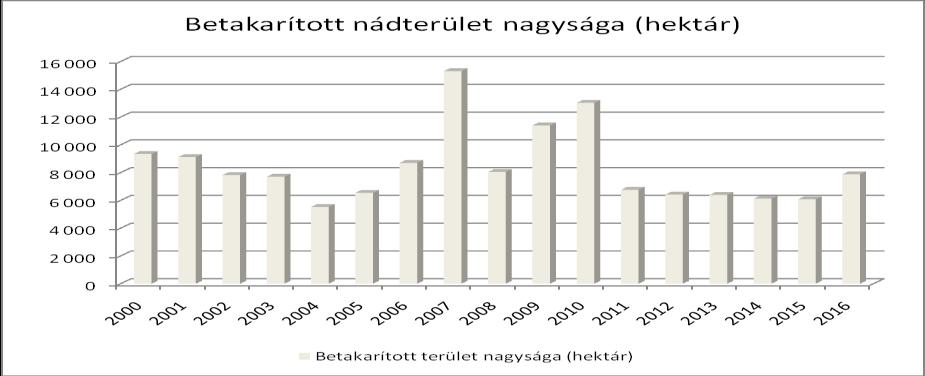 legeltették, mivel a fiatal növényi részek magas cukortartalommal rendelkeznek, így készségesen fogyasztották. A hazai betakarított nádterület nagysága a KSH adatai alapján 2000-2016 között 5.553-15.