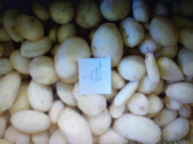 rendszeren, a végtermék tömege 25,84 kg. Az elfogyasztott víz mennyisége 36 liter (2. ábra).