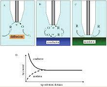 SECM measurements: The Scanning Electrochemical Microscope used was a model of Sensolytics Base SECM (Bochum- Germany).
