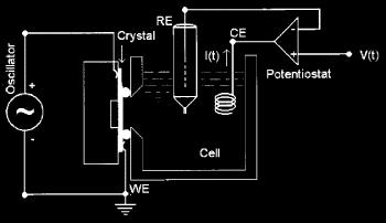temperature. The deposition bath contained 0.5M CuSO 4, 0.5M H 2 SO 4, and 1M C 2 H 5 OH in doubly distilled water. The cell reference and counter electrodes were SCE and a Pt wire, respectively.