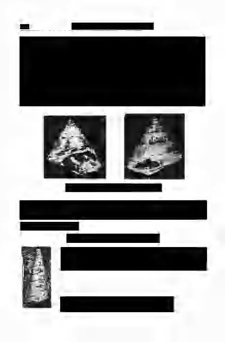 278 Földtani Közlöny, 100. kötet, 3. füzet is megállapításával:,,... a tufa-tartalom egyedül ezzel a paleocönózissal kapcsolatos".