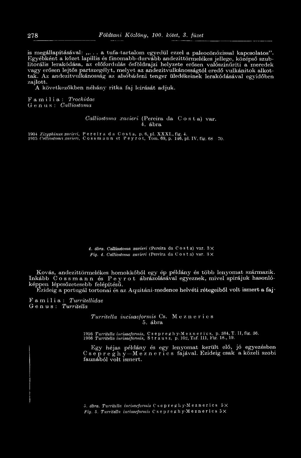 meredek vagy erősen lejtős partszegélyt, melyet az andezitvulkánosságtól eredő vulkánitok alkottak.