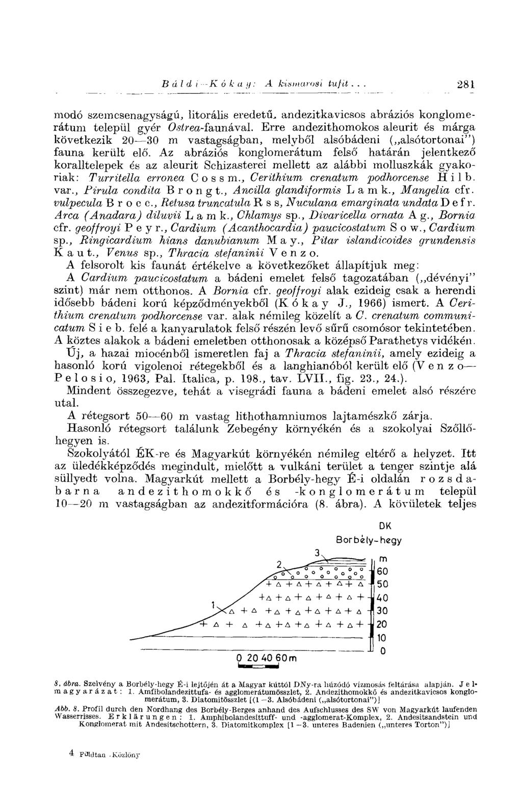 В ál d I -К о к а и : A hismarosi tu fit.. 281 modó szemcsenagyságú, litorális eredetű, andezitkavicsos abráziós konglomerátum települ gyér 0<s<rea-faunával.