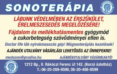 csepeli hírmondó HIRDETÉS 21 A papír-és műanyaghulladék újrahasznosítással foglalkozó Duparec Kft.