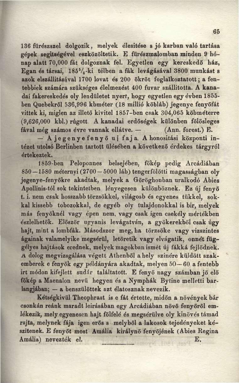 136 fürészszel dolgozik, melyek élesítése s jó karban való tartása gépek segítségével eszközöltetik. E fürészmalomban minden 9 hónap alatt 70,000 fát dolgoznak fel.