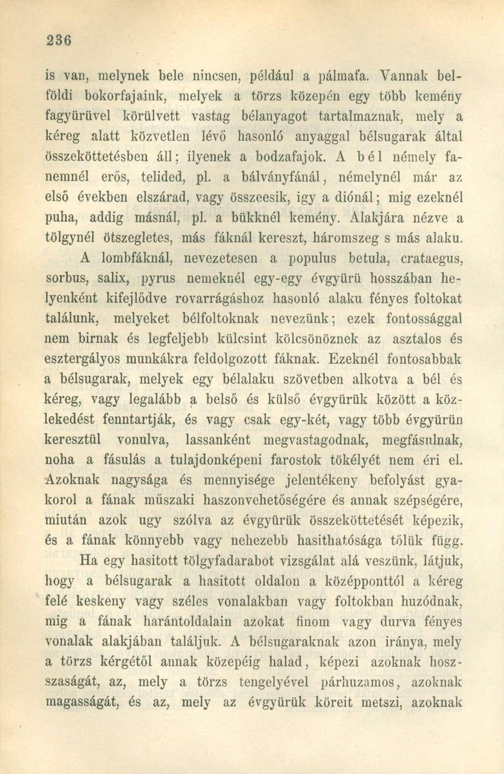 is van, melynek bele nincsen, például a pálmafa.