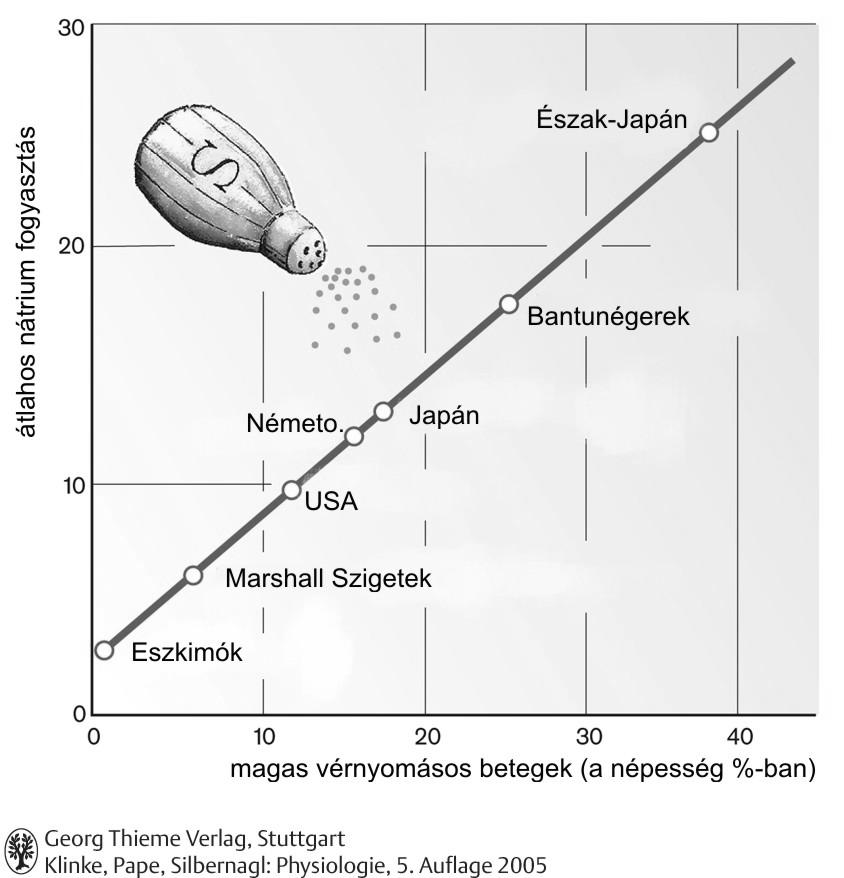 Sóháztartás Na + bevitel ( só bevitel) A Na + bevitele teljes mértékben ételeink és italaink Na + tartalmának függvénye.