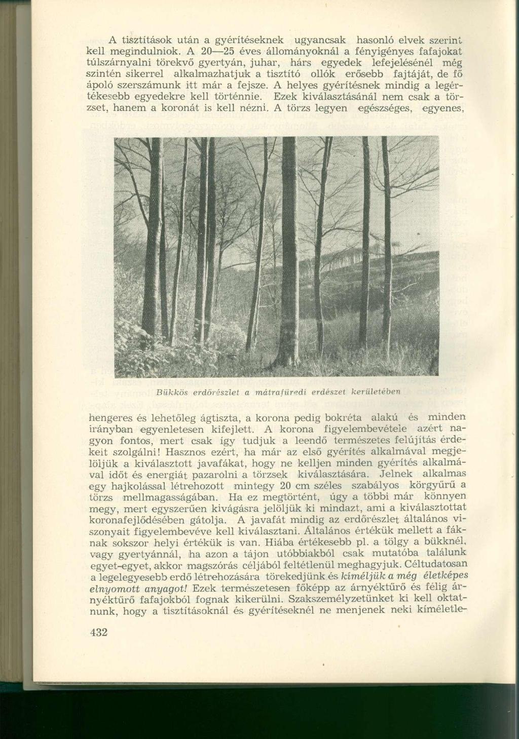 A tisztítások után a gyérítéseknek ugyancsak hasonló elvek szerint kell megindulniuk.