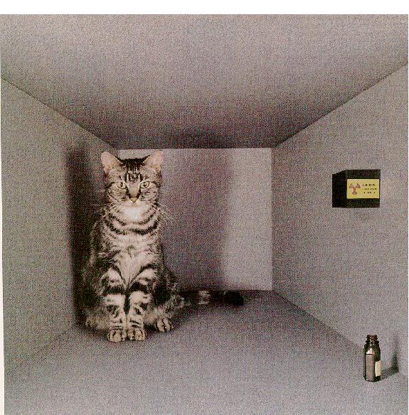 Schrödinger s cat "When I hear about Schrödinger s cat, I reach for my gun.