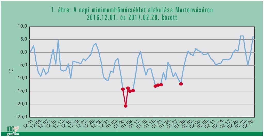 és Franciaország déli részén, az Egyesült Államok középső és déli államaiban, például Texasban vagy Dél-Karolinában termesztenek.