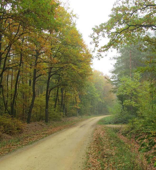 10 Az Ablánc-patak völgye bekerült a Natura 2000-es területek közé, továbbá a Nemzeti Ökológiai Hálózat részét képezi.
