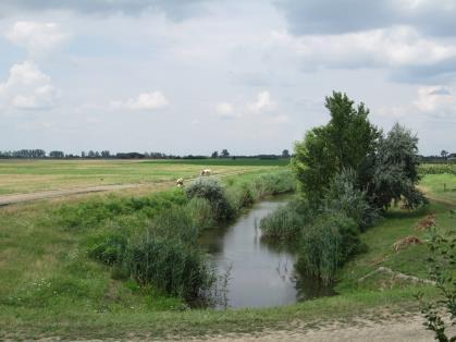 A település külterületi táji látványát elsősorban a Tisza folyó és erdősült ártere, a védművek határozott vonala, a levágott holtágak elvadult növényzete és a hullámos felszínen lévő mezőgazdasági és