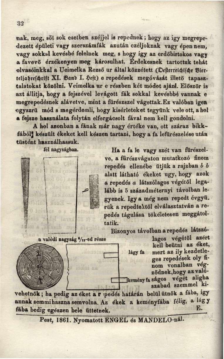 32 nak, meg, söt sok esetben széjjel is repednek; hogy az igy megrepedezett épületi vagy szerszámfák azután czéljoknak vagy épen nem, vagy sokkul kevésbé felelnek meg, s hogy igy az erdőbirtokos vagy