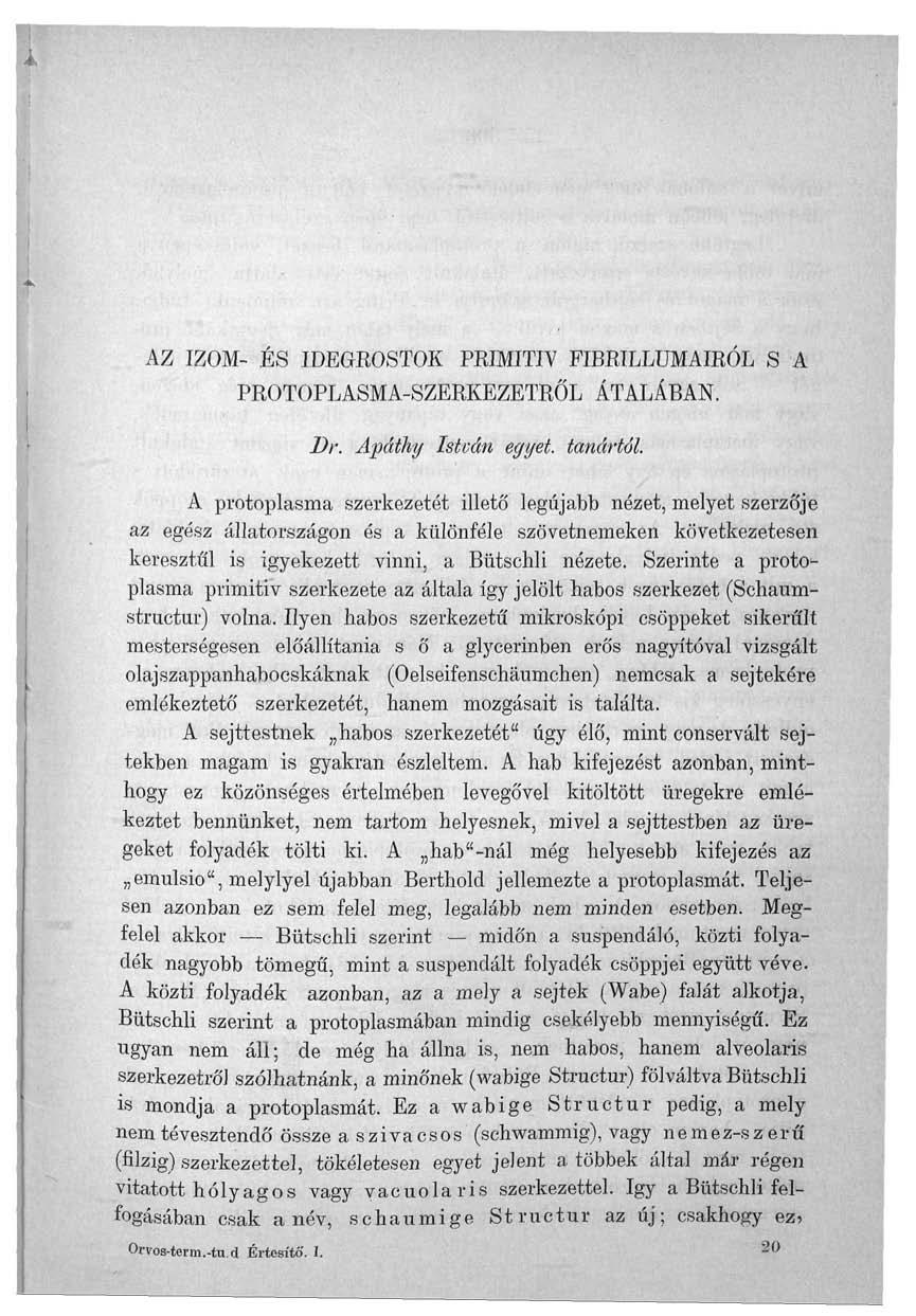 AZ IZOM- ÉS IDEGROSTOK PRIMITÍV FIBRILLÜMAIRÓL S A PROTOPLASMA-SZERKEZETRŐL ÁTALÁBAN. Dr. Apáihy István egyet, tanártól.